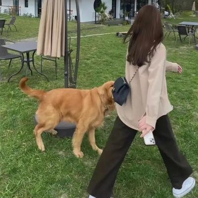 飞天怪兽